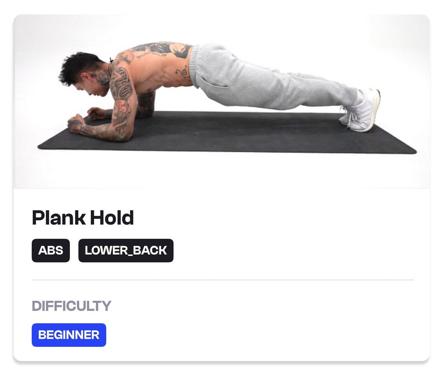 Plank Hold 1c