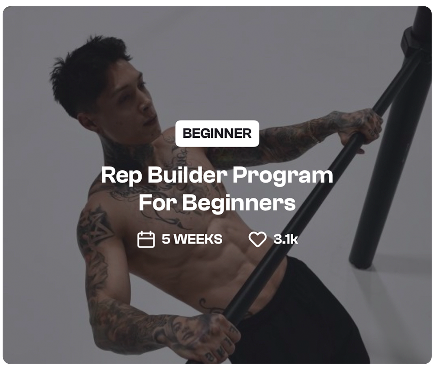 Rep Builder For Beginners 1c