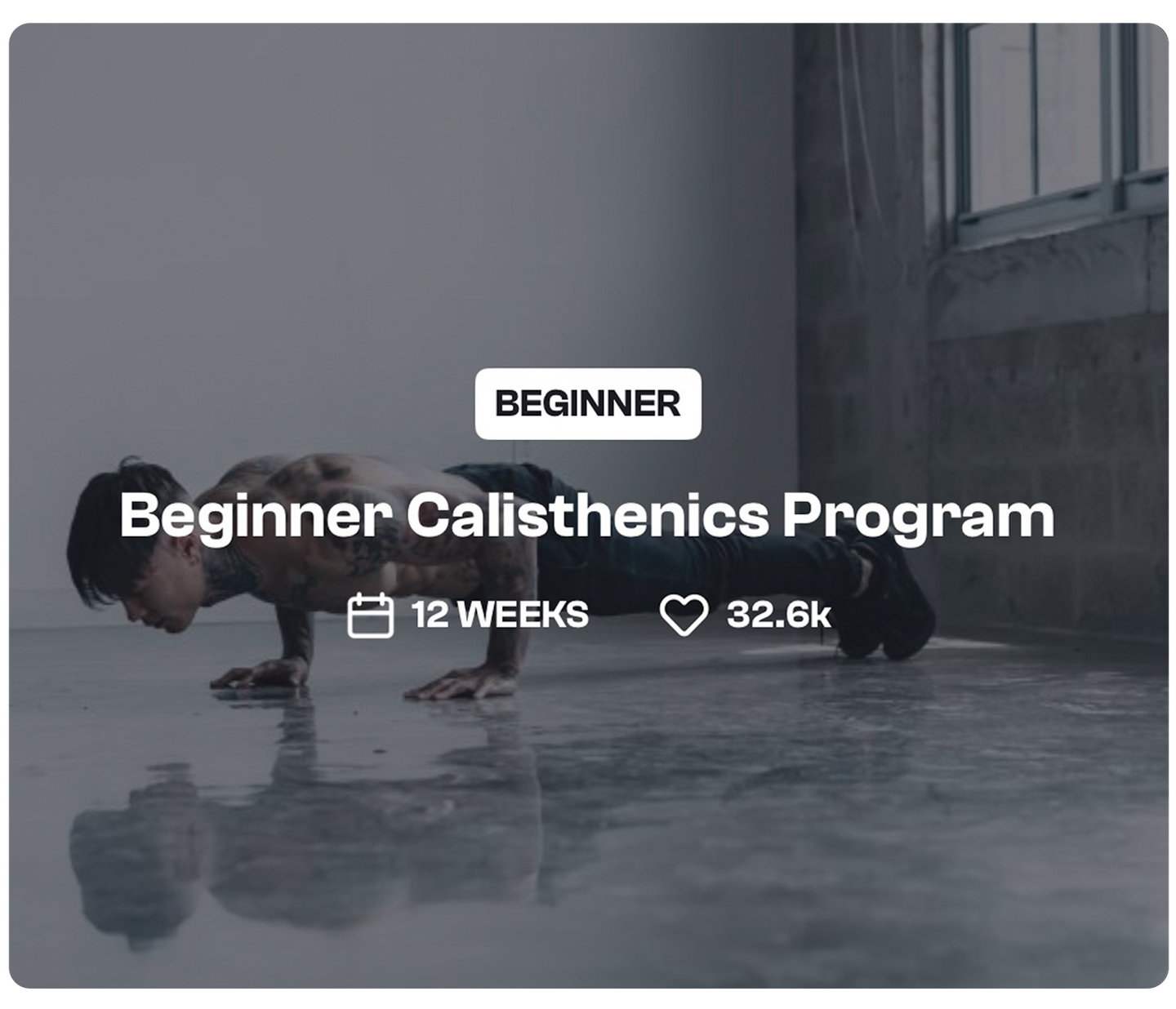 Beginner Calisthenics 1c