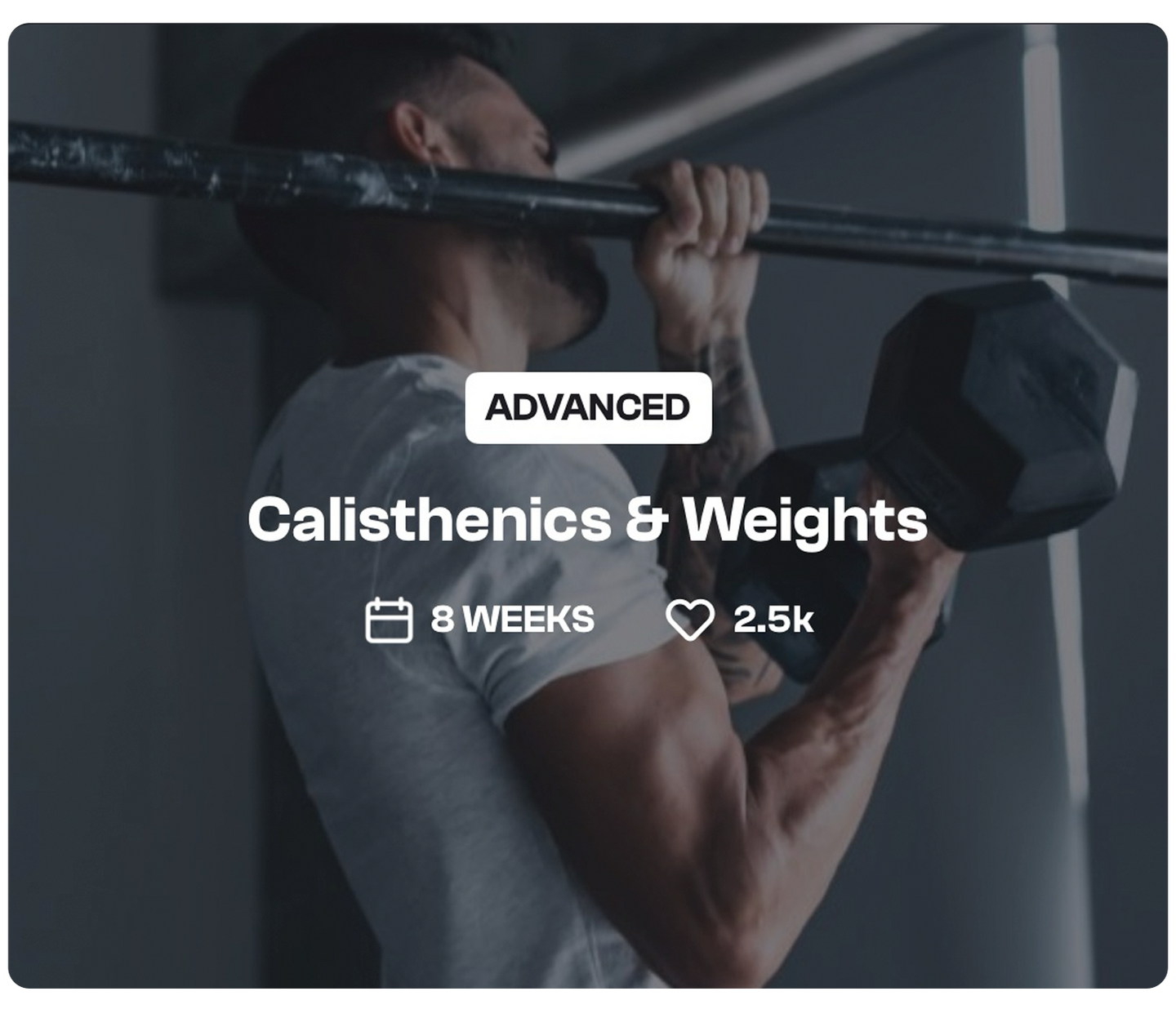 Calisthenics & Weights Advanced Program 1c