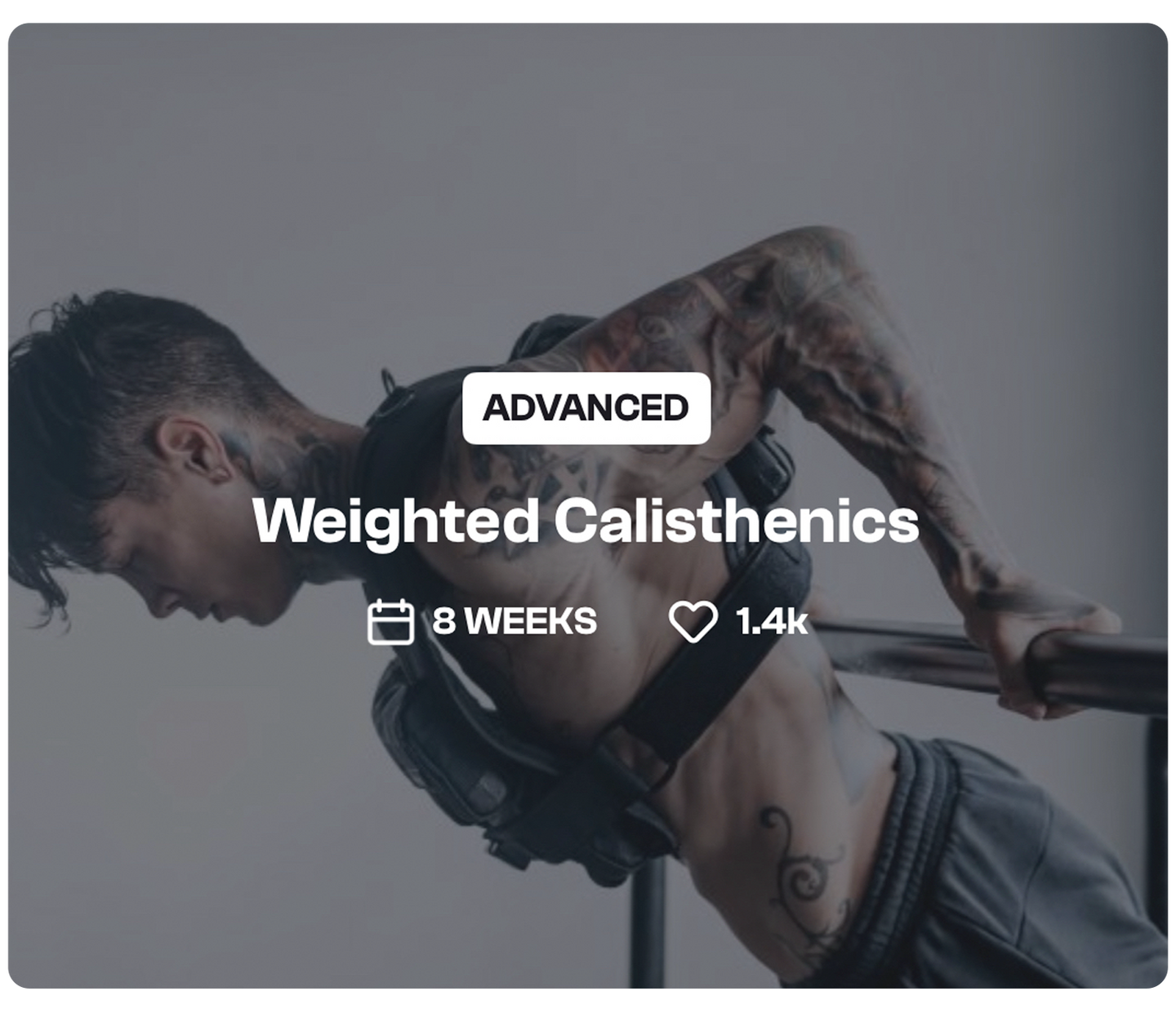 Weighted Calisthenics 6cx