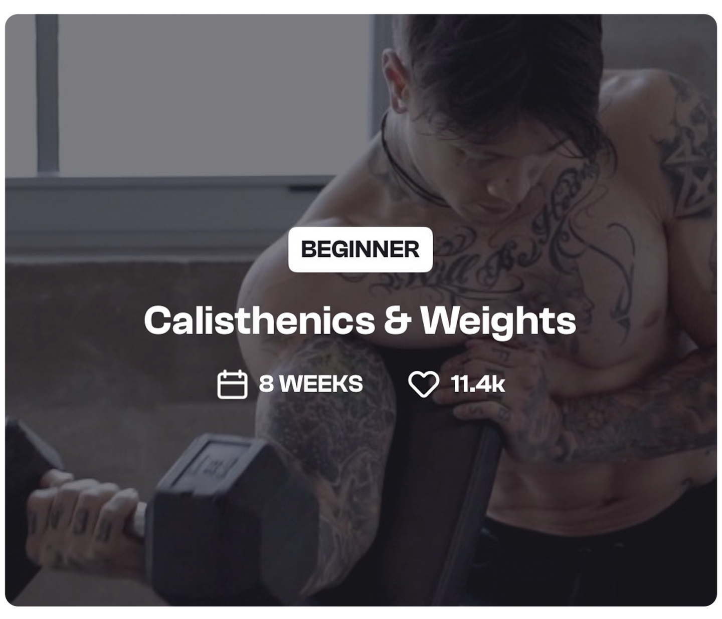 Calisthenics & Weights 1c