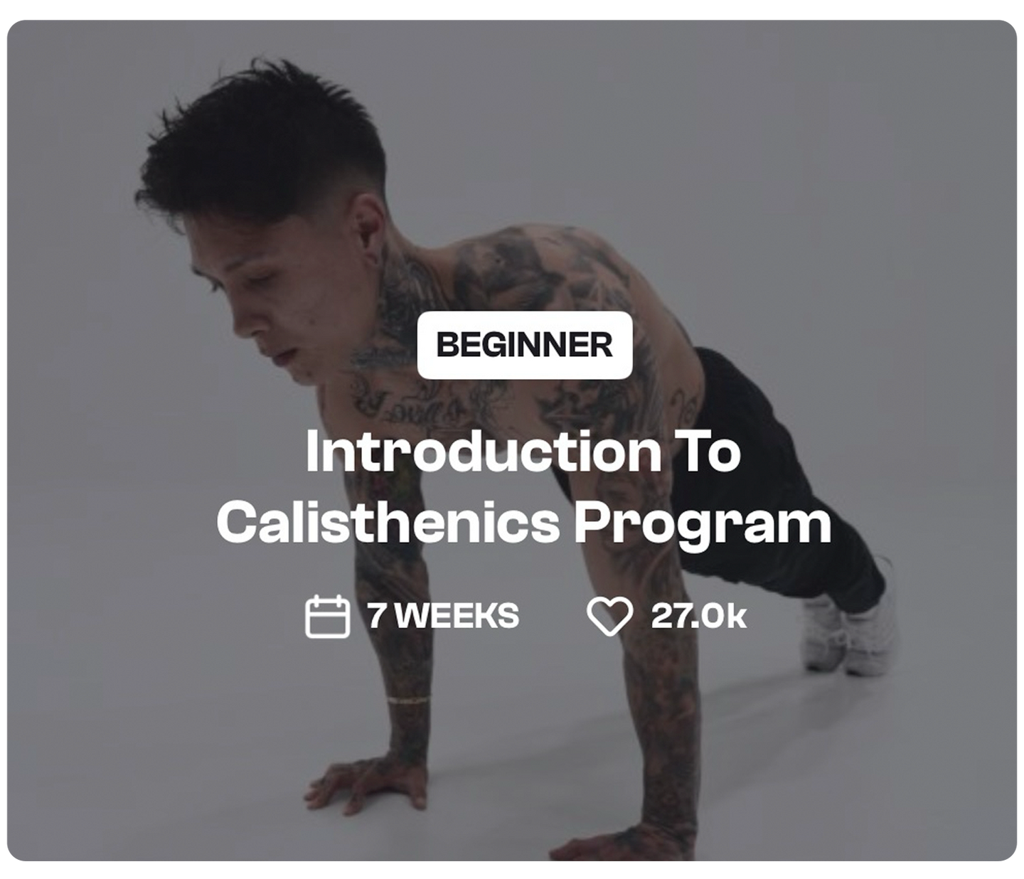 Introduction To Calisthenics 1c